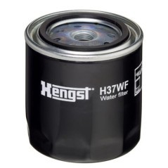 H37WF Hengst, Hengst 