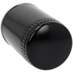 H430W Hengst, Hengst 