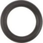 O-Ring - HD79055 O-Ring - HD79055