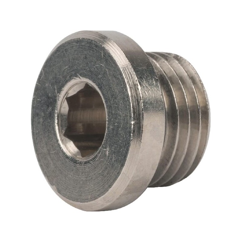 Hollow hex head plug - HHHP12 Hollow hex head plug - HHHP12