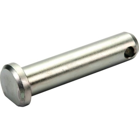 Sauermann rolniczeczesci.pl