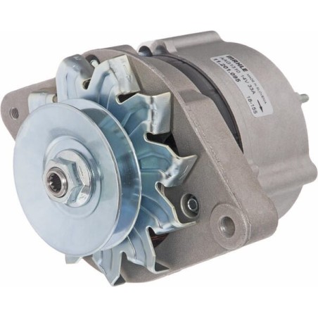 Alternators – produkty dostępne w rolniczeczesci.pl