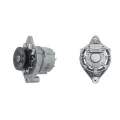 Alternator 14V 33A - IA0784