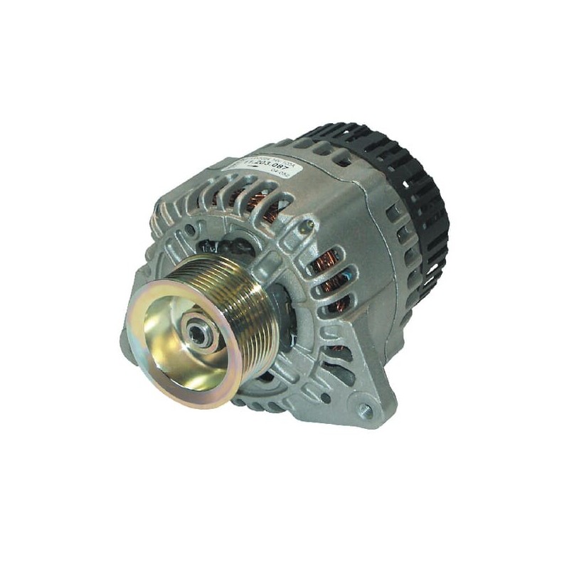 Alternator 14V 100A - IA1019