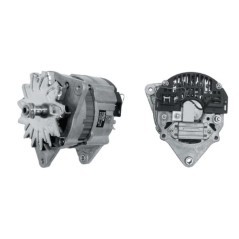 Alternator 14V 70A - IA0811