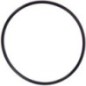 O-Ring - JC24010229