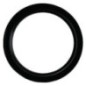 Seal - J903380