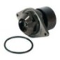 Water pump Case - IH - J286277OMP