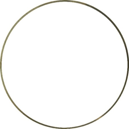 Shim - J924445