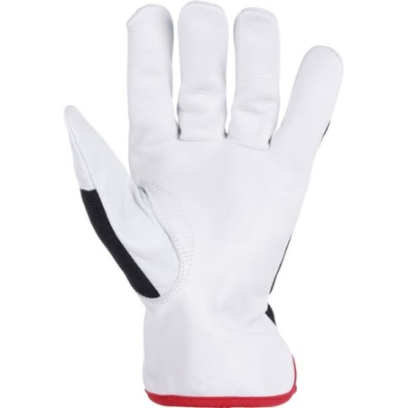 Handschuhe, Größe M, 8, Protect, Kramp - KG0301008