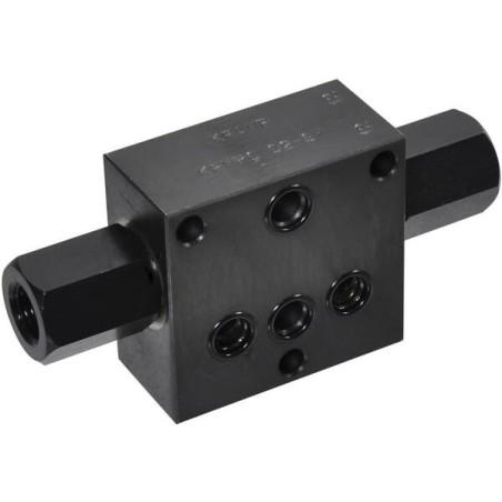 Controlled check valve SMP - KRMPC02SW
