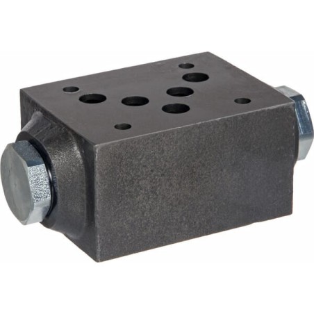 Controlled check valve NG10 - KRMPC05A