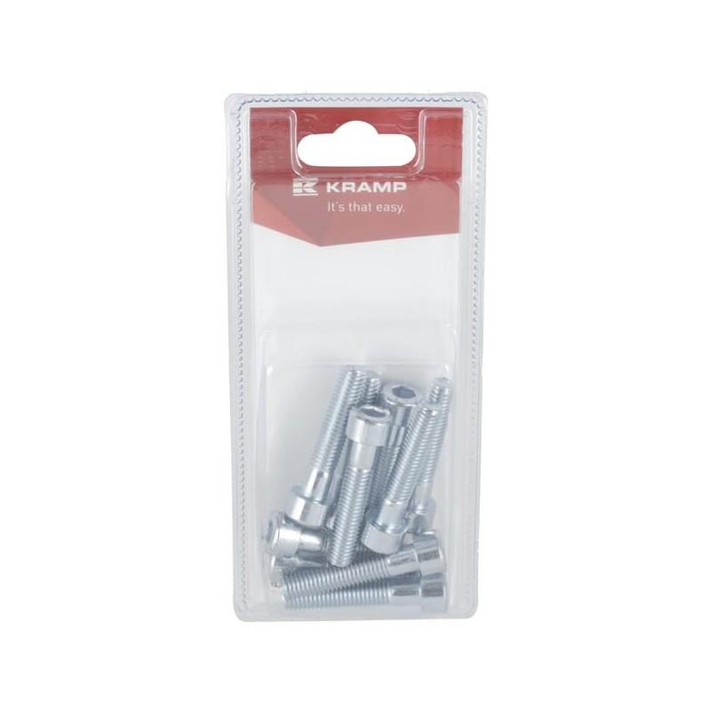 Socket bolt M8 x 40mm, 8.8 10 - KR912840P10B