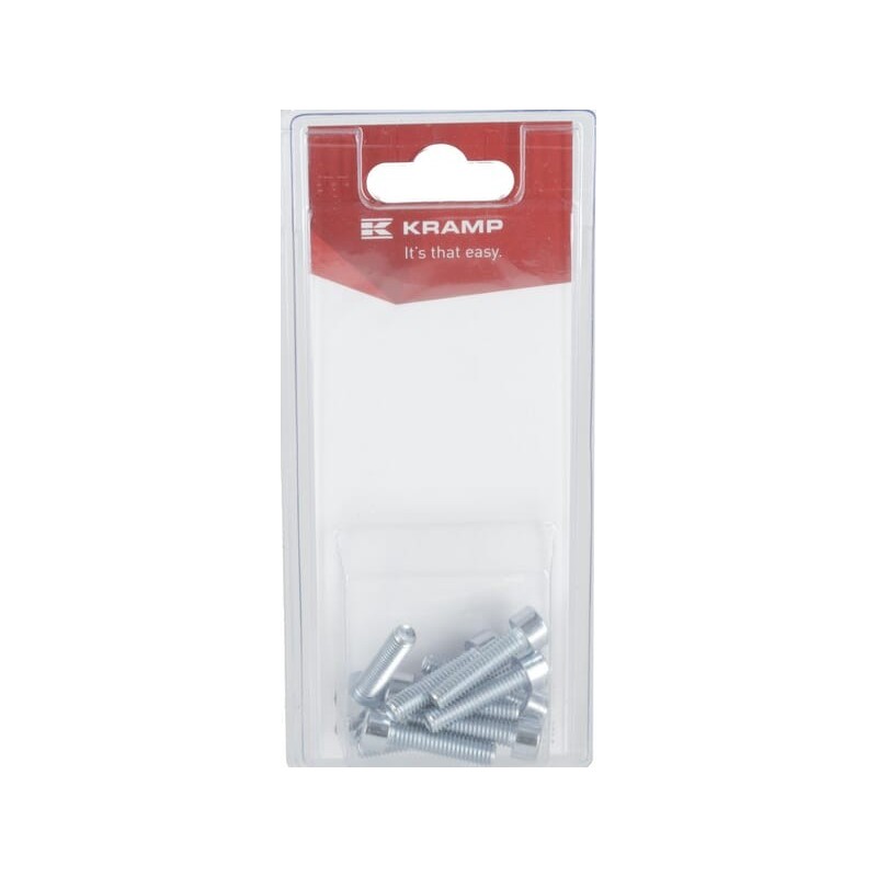 Socket bolt M6 x 25mm, 8.8 10 - KR912625P10B