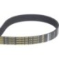 V-belt - L203307 V-belt - L203307