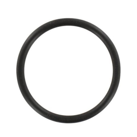 O-ring - L53819