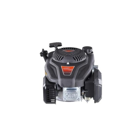 Engine, Vertical, 3.88HP, 1 cylinder, 22.2x62, Loncin - LC1P65FE2B