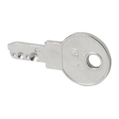 Individual key - M22ESMS1