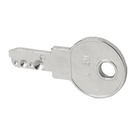 Individual key - M22ESMS1