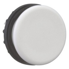 M22B Eaton, Protective caps 