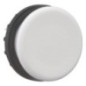 RAL7035 IP67 blanking plug - M22B RAL7035 IP67 blanking plug - M22B