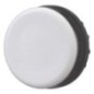 RAL7035 IP67 blanking plug - M22B RAL7035 IP67 blanking plug - M22B