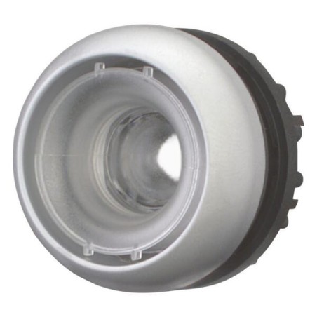 Pushbutton empty - M22DLX