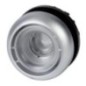 Pushbutton empty sp - M22DRLX