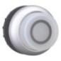 Pushbutton white 0 h - M22DLHWX0