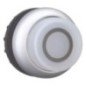 Pushbutton white 0 h - M22DLHWX0