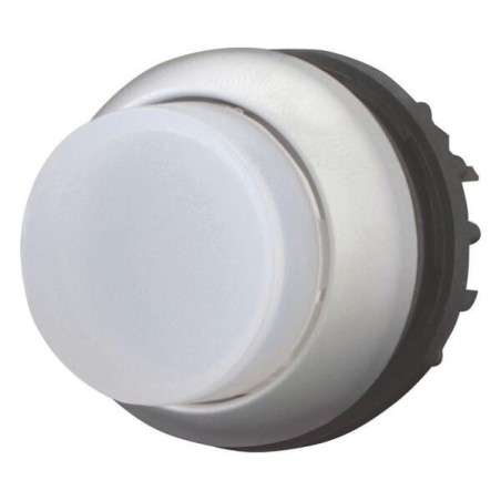 Pushbutton white hi - M22DLHW