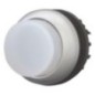 Pushbutton white hi - M22DLHW