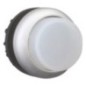 Pushbutton white hi - M22DLHW