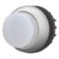 Pushbutton white hi - M22DLHW