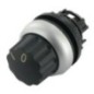 Selector switch actuator 0 1 - M22WRX91