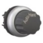Selector switch actuator 0 1 - M22WRX91