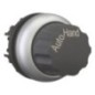 Selector switch actuator 0 1 - M22WRX91