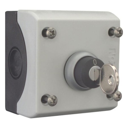 SurFor mounted key-operation button - M22WRSKC11I