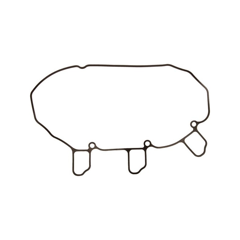 Valve Cap Gasket - M811939