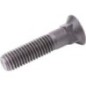 Bolt - M231257 Bolt - M231257