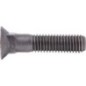 Bolt - M231257 Bolt - M231257