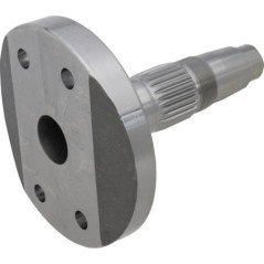 Lateral blade support - M36100332R