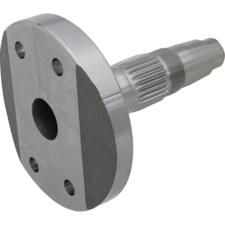 Lateral blade support - M36100332R