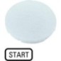 Button plate white START - M22XDWGB1