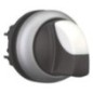 Selector switch, 2 positions - M22WK