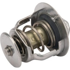 Thermostat - M811034