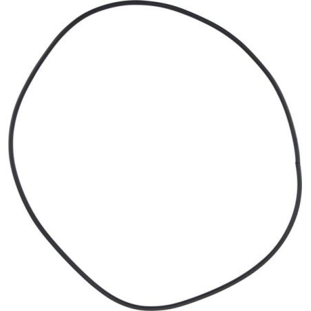 Dichtung - M29100137R