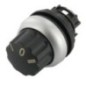 Selector switch actuator I 0 II - M22WR3