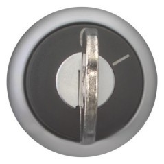 Key-operated actuator 2 pos - M22WS