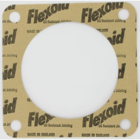 Dichtung Maschio - M27100309R